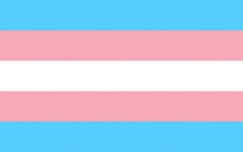 Courtesy of http://point5cc.com/the-history-of-the-transgender-flag/