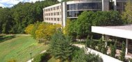 View of Overlook South
