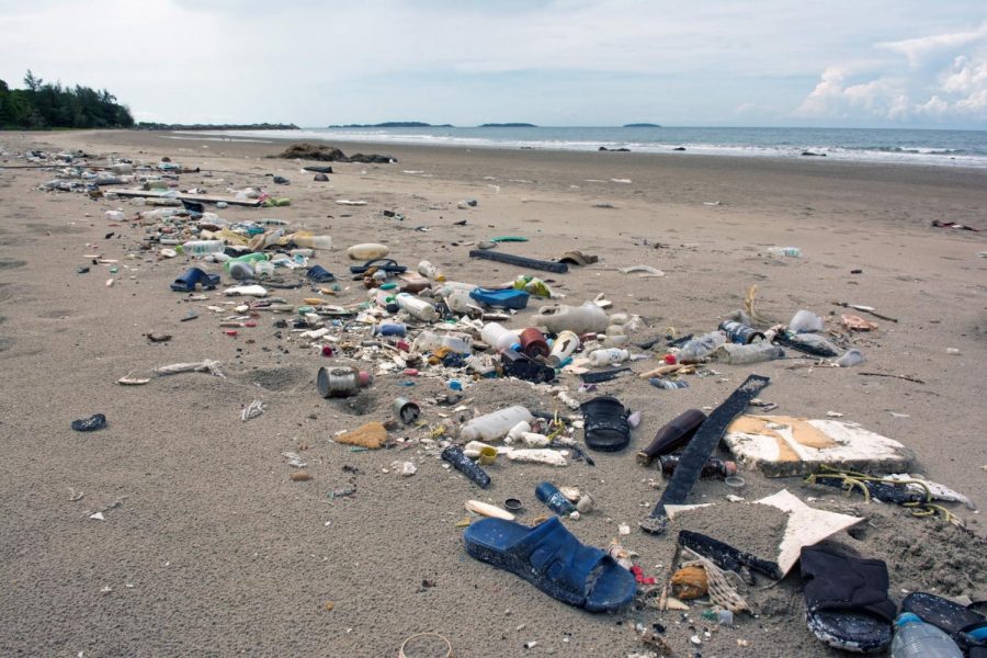 https://nypost.com/2019/04/03/more-condoms-less-cigarettes-found-in-annual-nj-beach-cleanup/