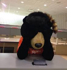 Billy Bear sits ashamed of what hes done to the student population.