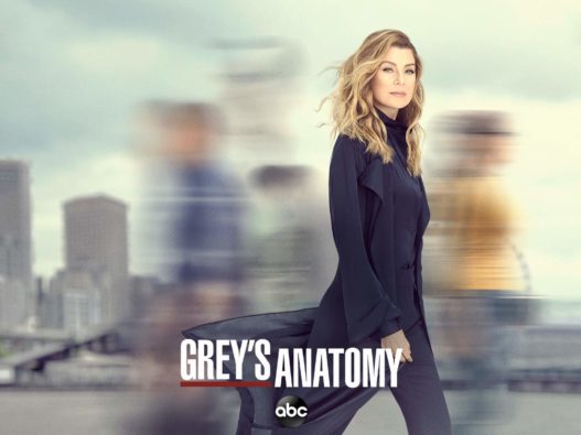 greys anatomy 15° temporada torrent