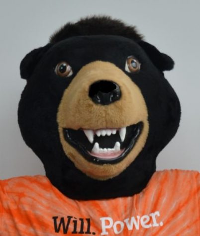 Exclusive Interview With The Universitys President Billy the Bear