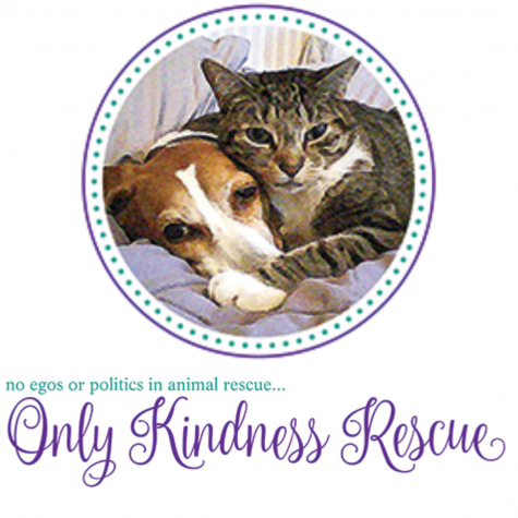 Saved from CATastrophe: Only Kindness Rescue and William Paterson University