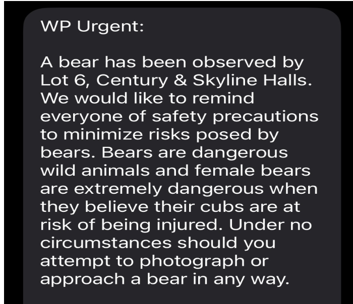 BEAR FOUND IN WOODS